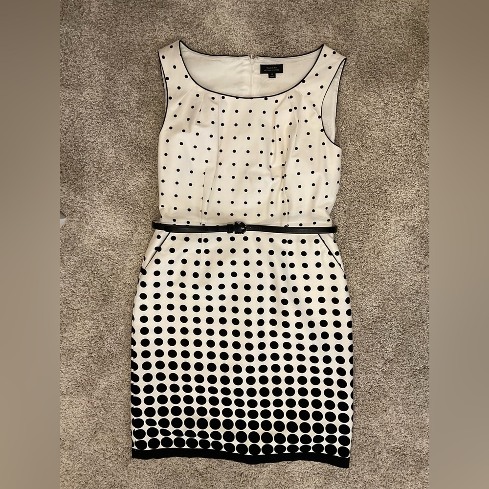 TAHARI POLKA DOT DRESS BELTED DRESS